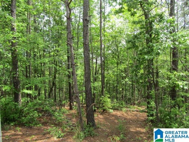 0 Allred St Unit 1, Oxford AL, 36203 land for sale