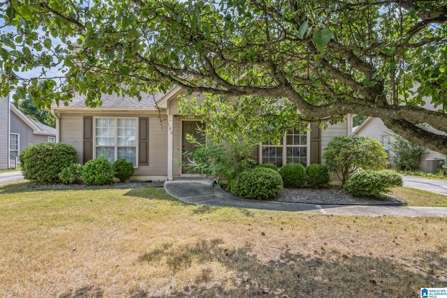 view of property hidden behind natural elements featuring a front yard