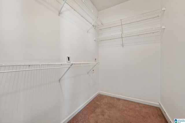 spacious closet featuring carpet flooring