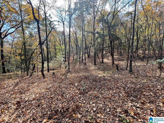 Listing photo 2 for 36ACRES County Road 30 Unit 1, Columbiana AL 35051