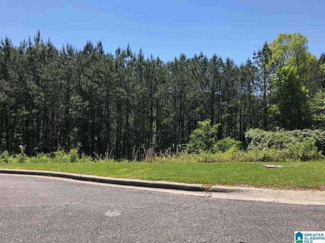 1753 Brookview Trl Unit 4, Hoover AL, 35216 land for sale