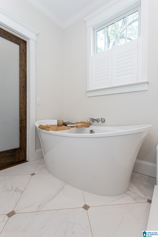 bathroom with ornamental molding and a washtub