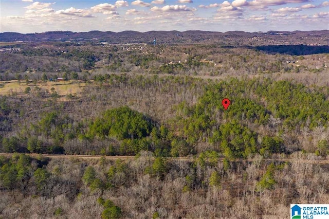 6534 Mountain Ridge Rd Unit 0, Trussville, AL 35173