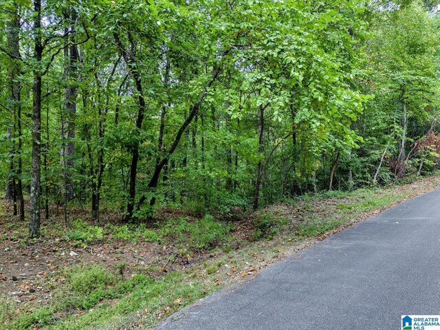 6662 Wesson Cir Unit 1, Pinson, AL 35126