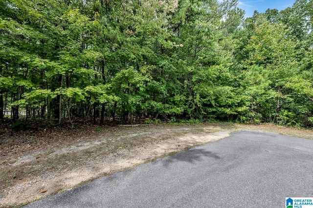 6686 Wesson Cir Unit 2, Pinson AL, 35126 land for sale