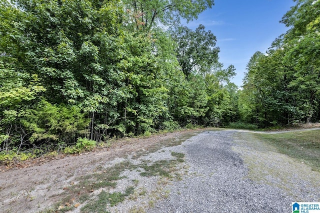 6686 Wesson Cir Unit 2, Pinson, AL 35126