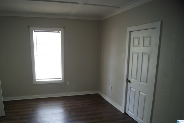 spare room featuring ornamental molding, a wealth of natural light, and dark hardwood / wood-style floors