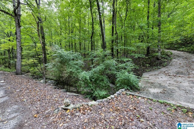 6722 Wesson Cir Unit 4, Pinson, AL 35126