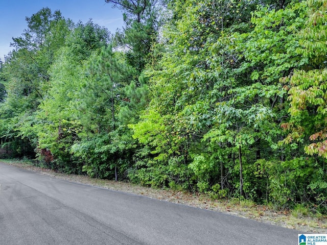 6722 Wesson Cir Unit 4, Pinson, AL 35126