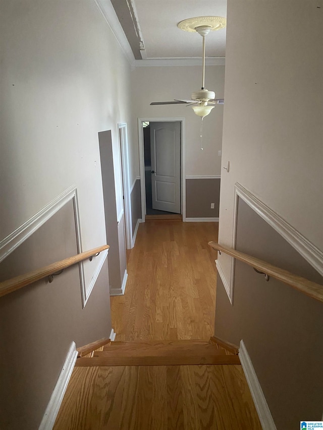 hallway with crown molding and light hardwood / wood-style floors