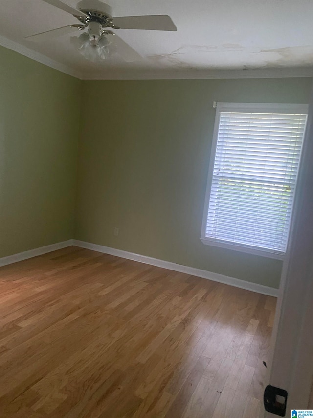 spare room with ceiling fan, hardwood / wood-style flooring, and crown molding