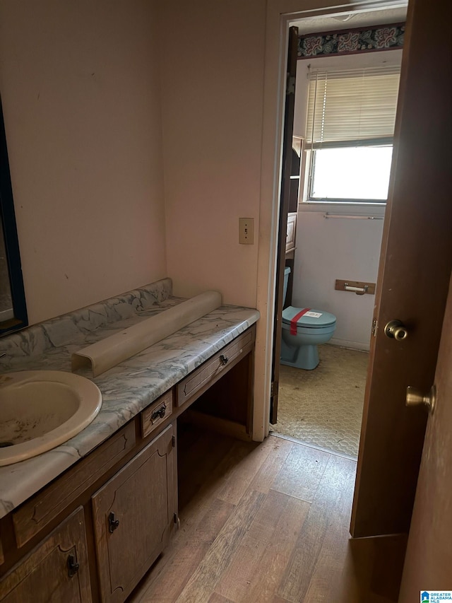 bathroom featuring vanity, hardwood / wood-style flooring, and toilet