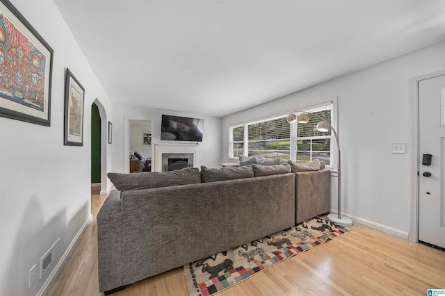 living room featuring light hardwood / wood-style floors and a tile fireplace