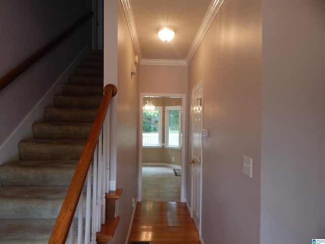 stairs with hardwood / wood-style flooring, crown molding, and a textured ceiling