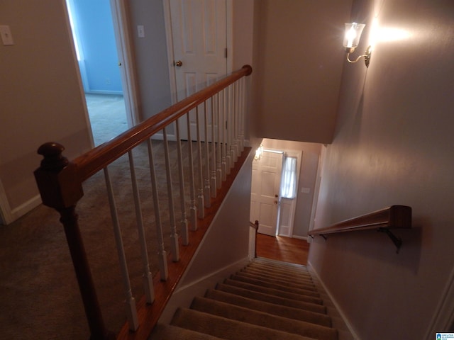 staircase featuring carpet