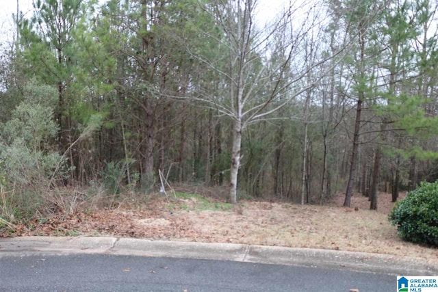 6462 William Dr Unit 6, Concord AL, 35023 land for sale