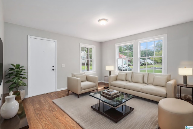 living room with hardwood / wood-style floors