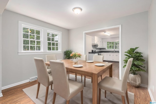 dining area featuring sink and hardwood / wood-style floors