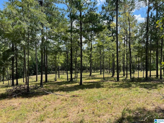 0 Hwy 51 Unit 0, Westover AL, 35186 land for sale