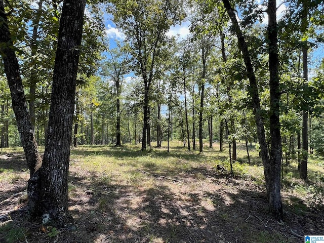 Listing photo 2 for 0 Hwy 51 Unit 0, Westover AL 35186