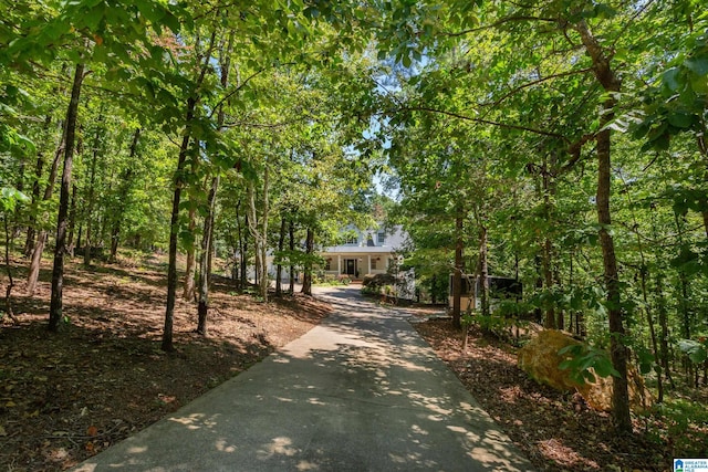 157 Hickory Ridge Dr, Glencoe, AL 35905 - view of property's community with driveway