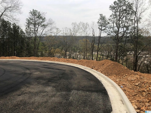 LOT1 Eagle Point Dr Lot # 1, Birmingham AL, 35242 land for sale