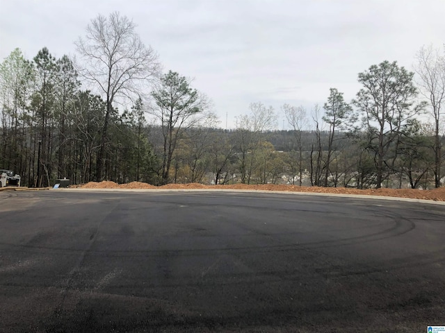 Listing photo 2 for LOT1 Eagle Point Dr Lot # 1, Birmingham AL 35242