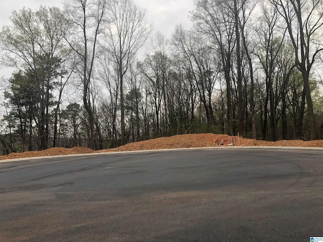 Listing photo 3 for LOT1 Eagle Point Dr Lot # 1, Birmingham AL 35242