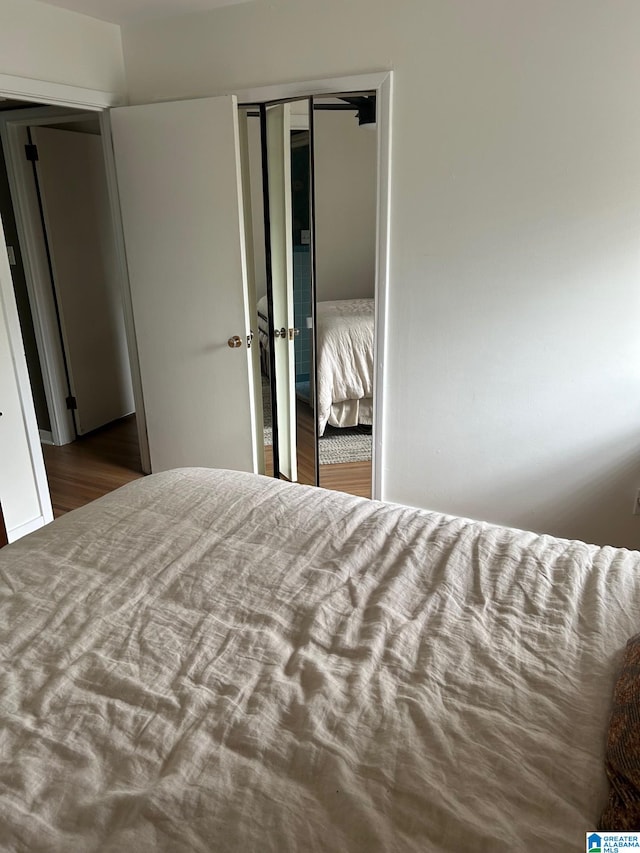 bedroom featuring a closet and dark wood-type flooring