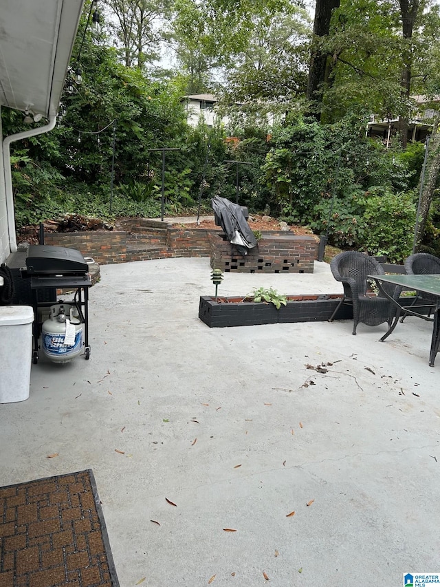 view of patio / terrace featuring area for grilling