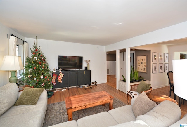 living room featuring hardwood / wood-style floors