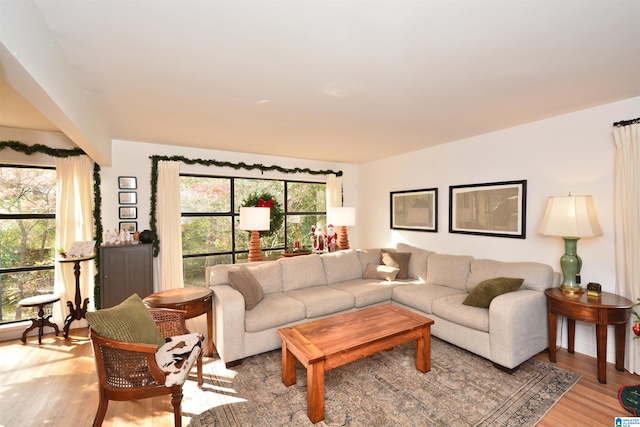 living room featuring light hardwood / wood-style flooring