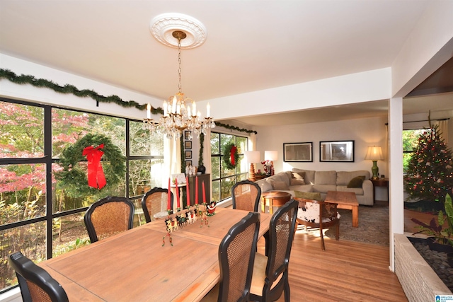 dining area featuring hardwood / wood-style floors, a healthy amount of sunlight, and an inviting chandelier