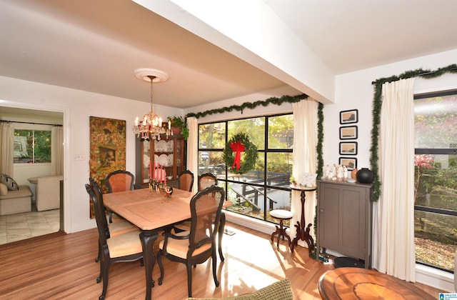 dining room with a chandelier and hardwood / wood-style flooring