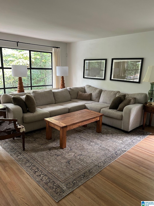 living room featuring hardwood / wood-style floors