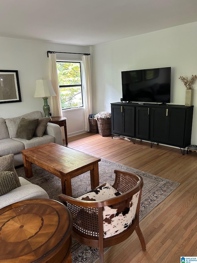 living room featuring light wood-type flooring