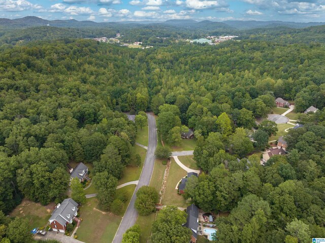 bird's eye view with a mountain view