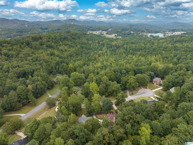 drone / aerial view featuring a mountain view