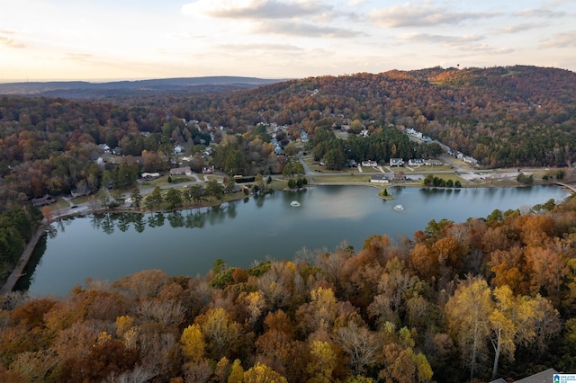 aerial view at dusk with a water view