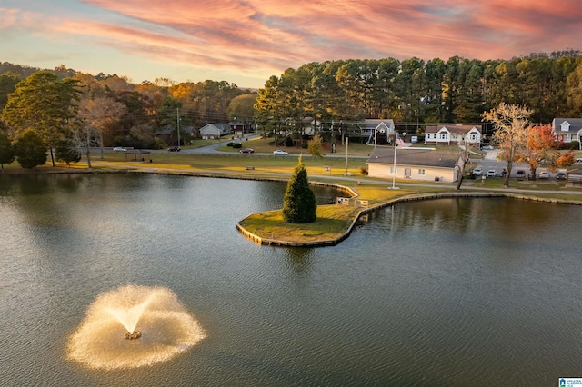 view of water feature