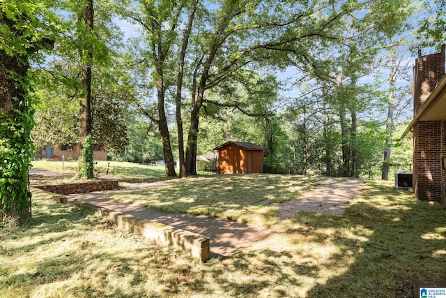 view of yard with a storage shed