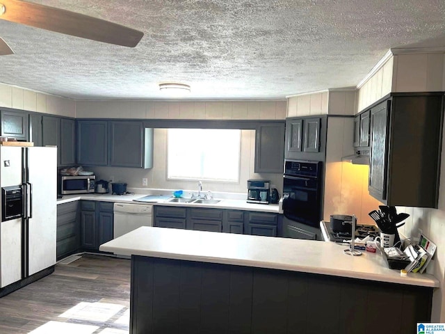 kitchen with a textured ceiling, sink, hardwood / wood-style floors, and white appliances