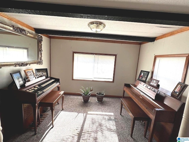 misc room featuring beam ceiling, a textured ceiling, plenty of natural light, and carpet flooring