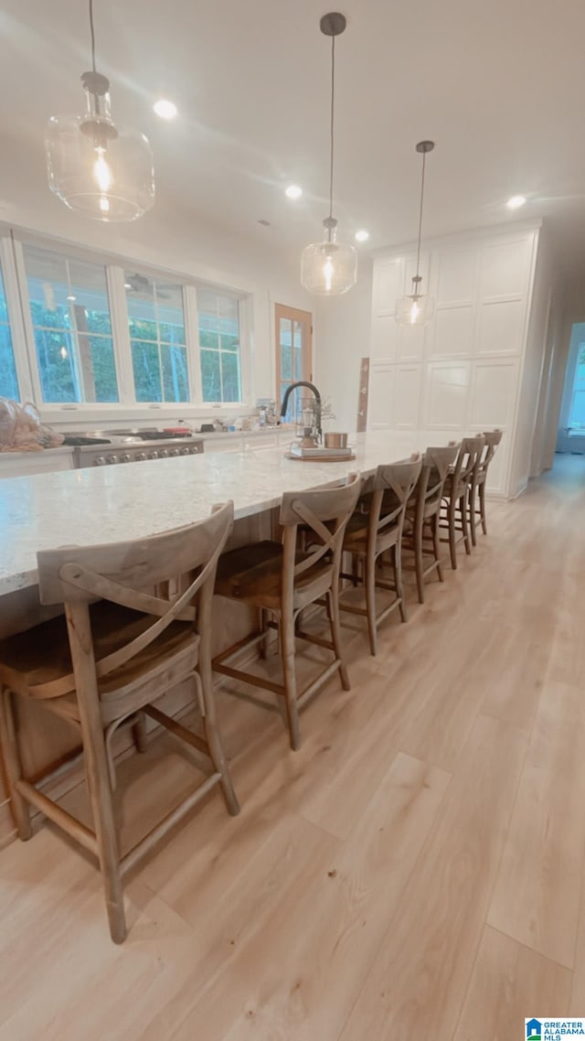 dining room featuring light hardwood / wood-style flooring and plenty of natural light