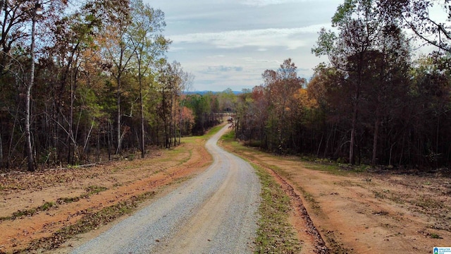 view of road