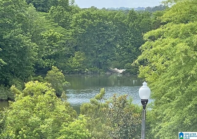 water view featuring a forest view