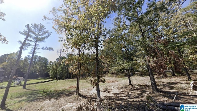 105 Saddle Lake Dr Unit 52, Alabaster AL, 35007 land for sale