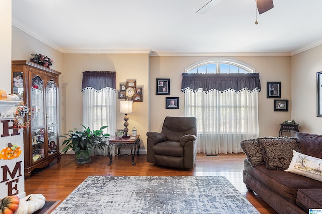 living room featuring wood-type flooring, ornamental molding, and ceiling fan