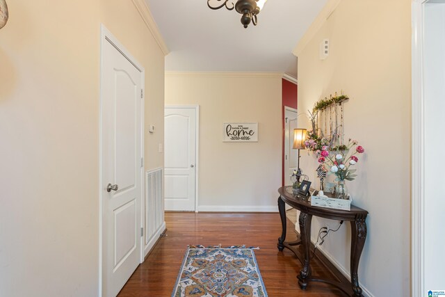 hallway featuring ornamental molding and dark wood-type flooring