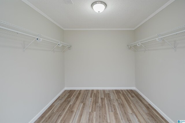 spare room featuring a textured ceiling and light wood-type flooring